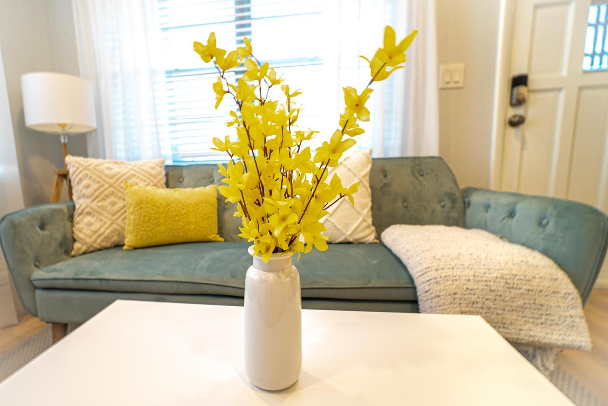 Chic & Stylish Location Tampa